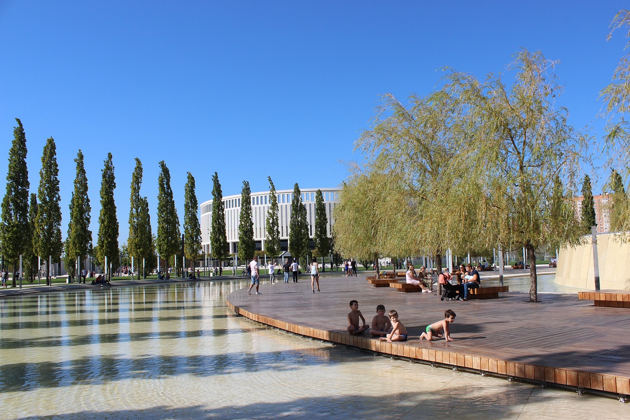 市场变化的 市场变化的