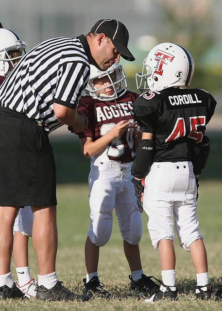 其在全球范 其在全球范