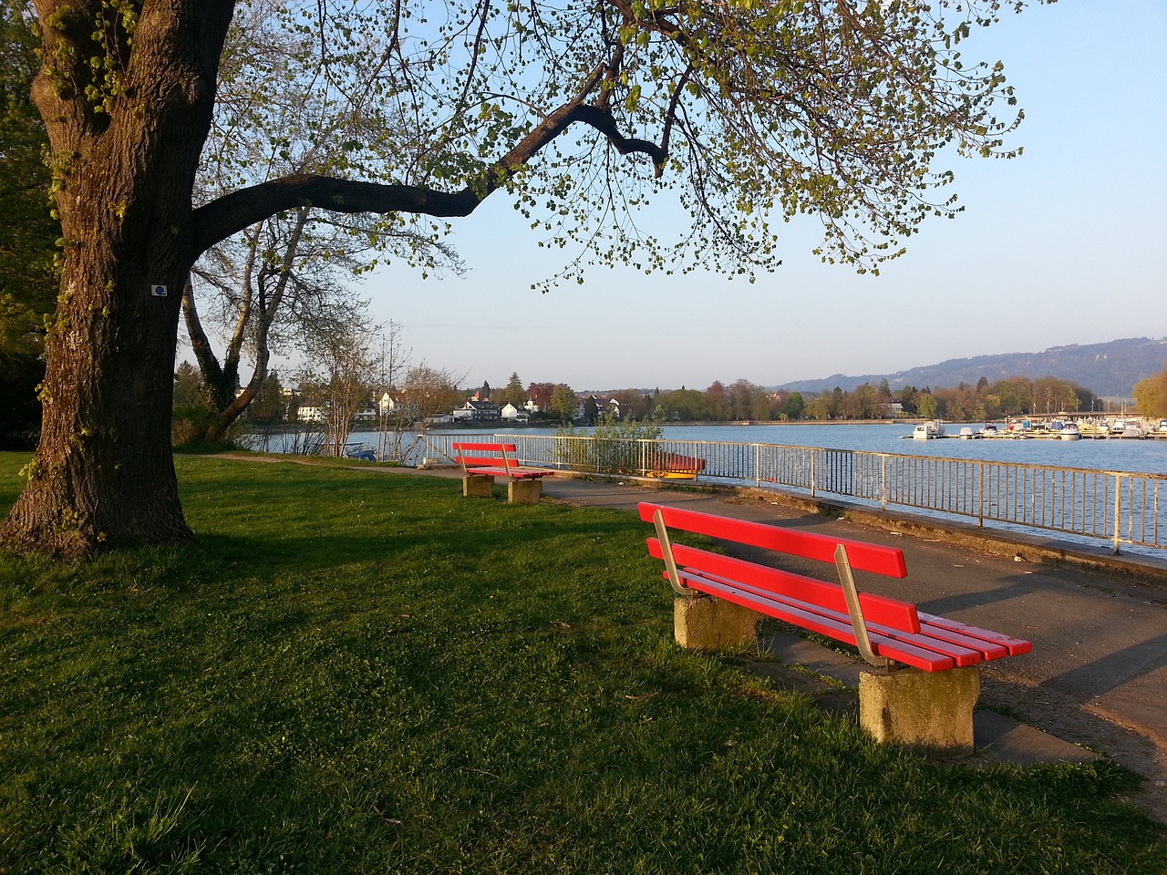 高强度防守 高强度防守