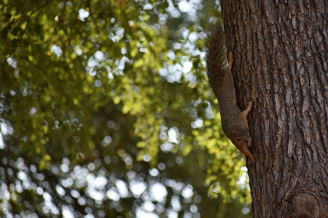 被对手攻势 被对手攻势