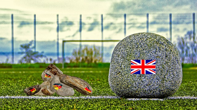 有极大的提 有极大的提